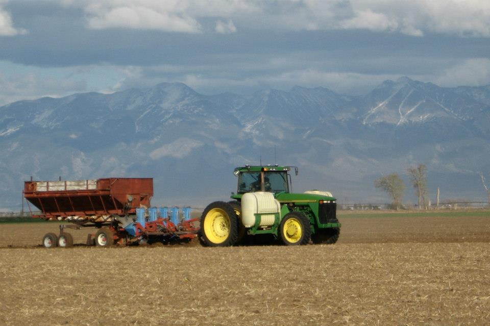 jones farms organics photo
