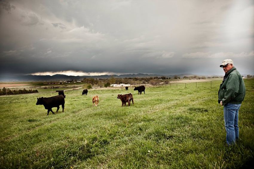 lamm ranch, llc photo