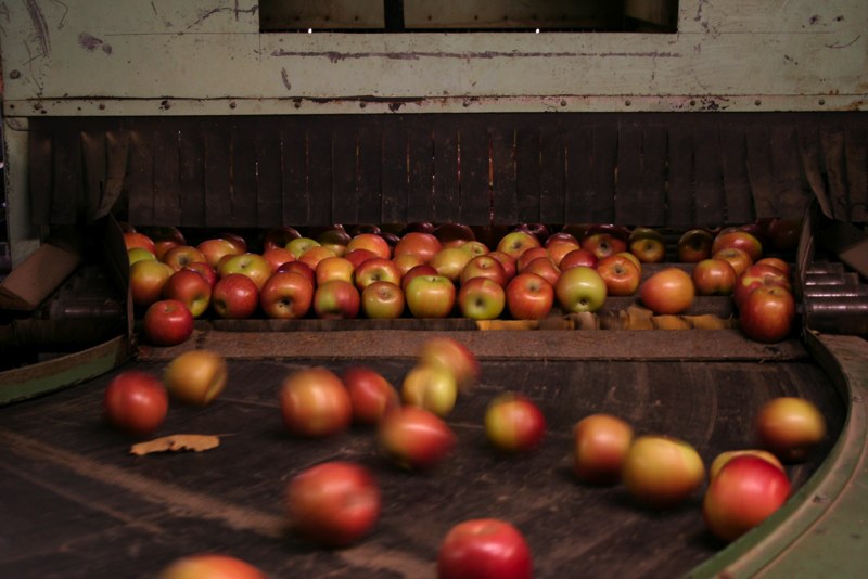 mattics' orchards photo