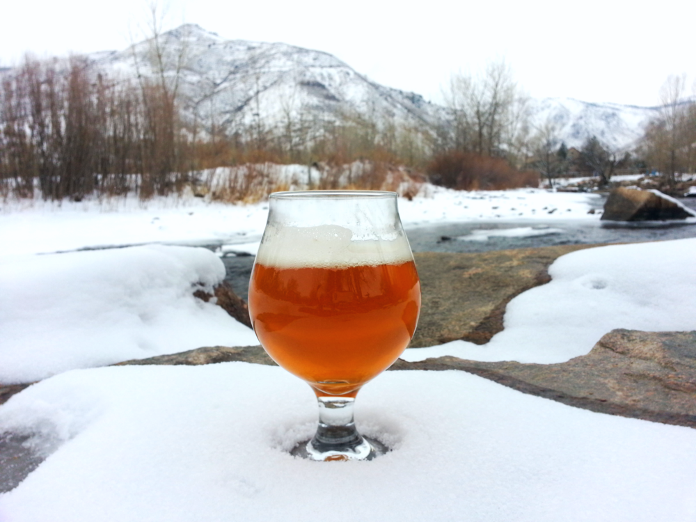 mountain toad brewing photo