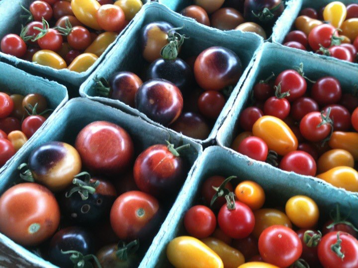 north field farm photo