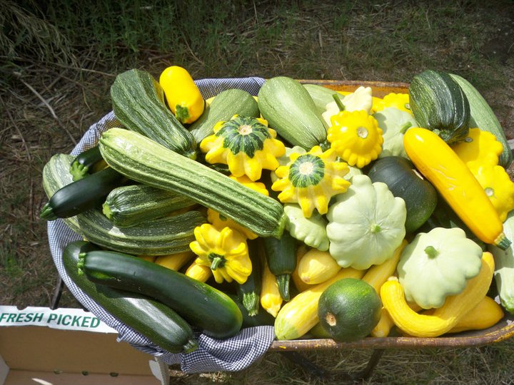 peach valley csa farm photo