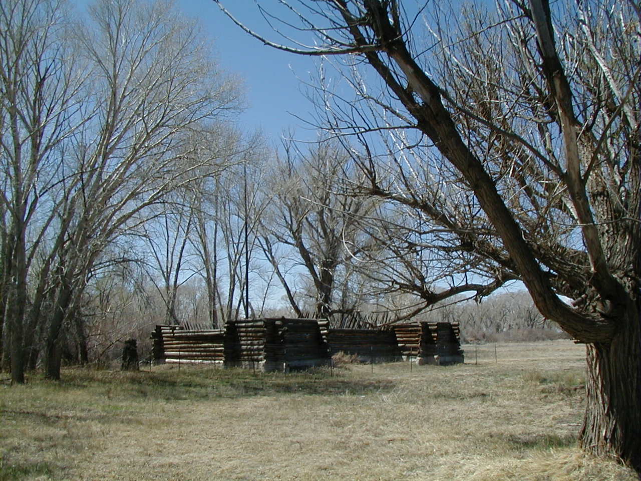 photograph by ann marie velasquez photo