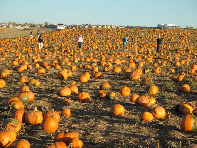rock creek farm photo