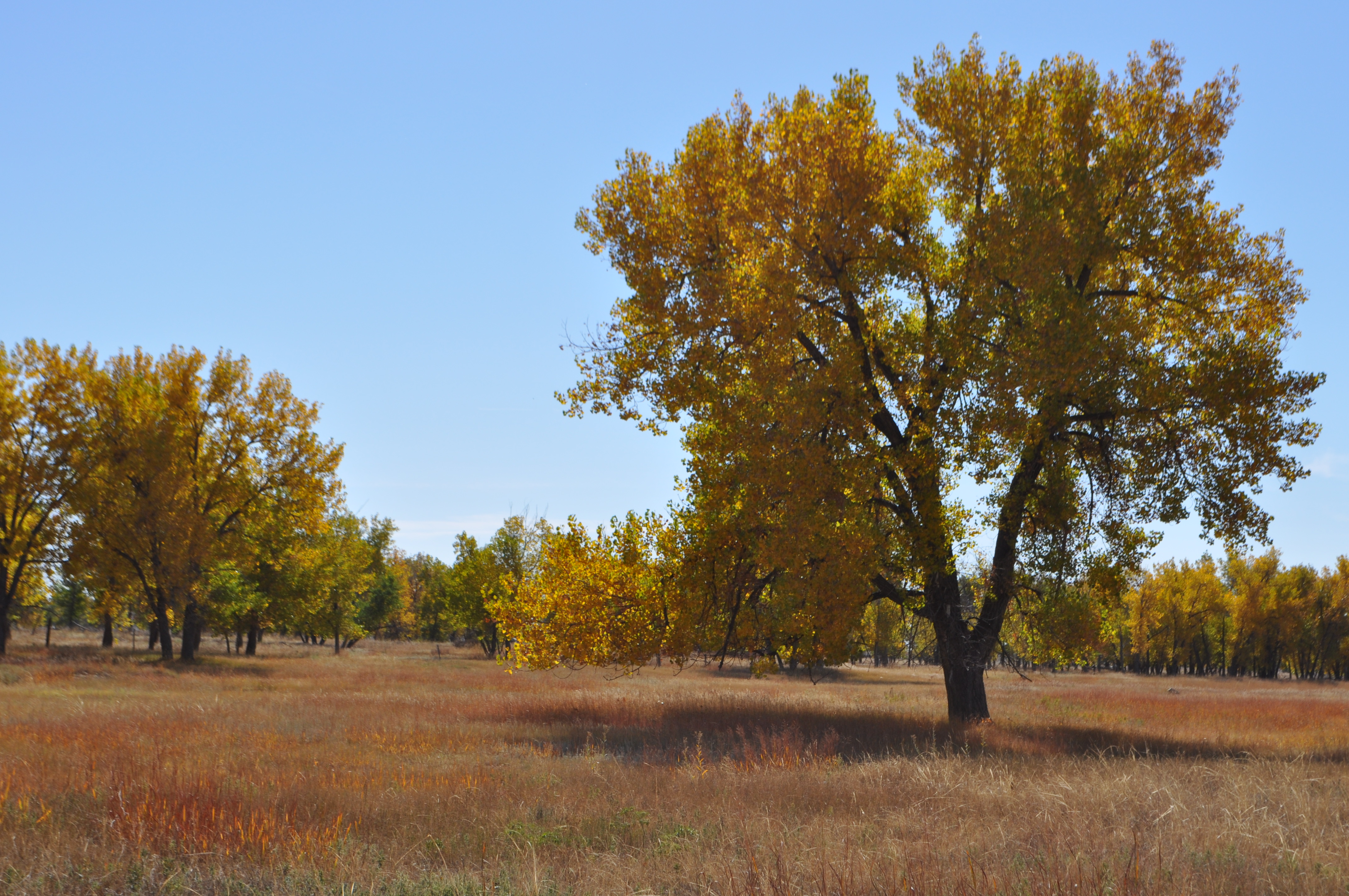 richmil ranch open space photo