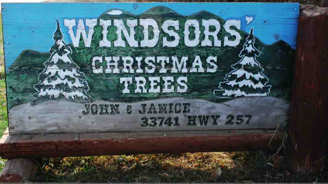 for your family tradition. photo