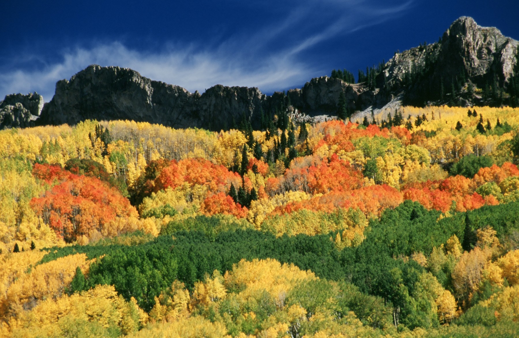 if you come to colorado...ask us how we can help you find this place.. photo