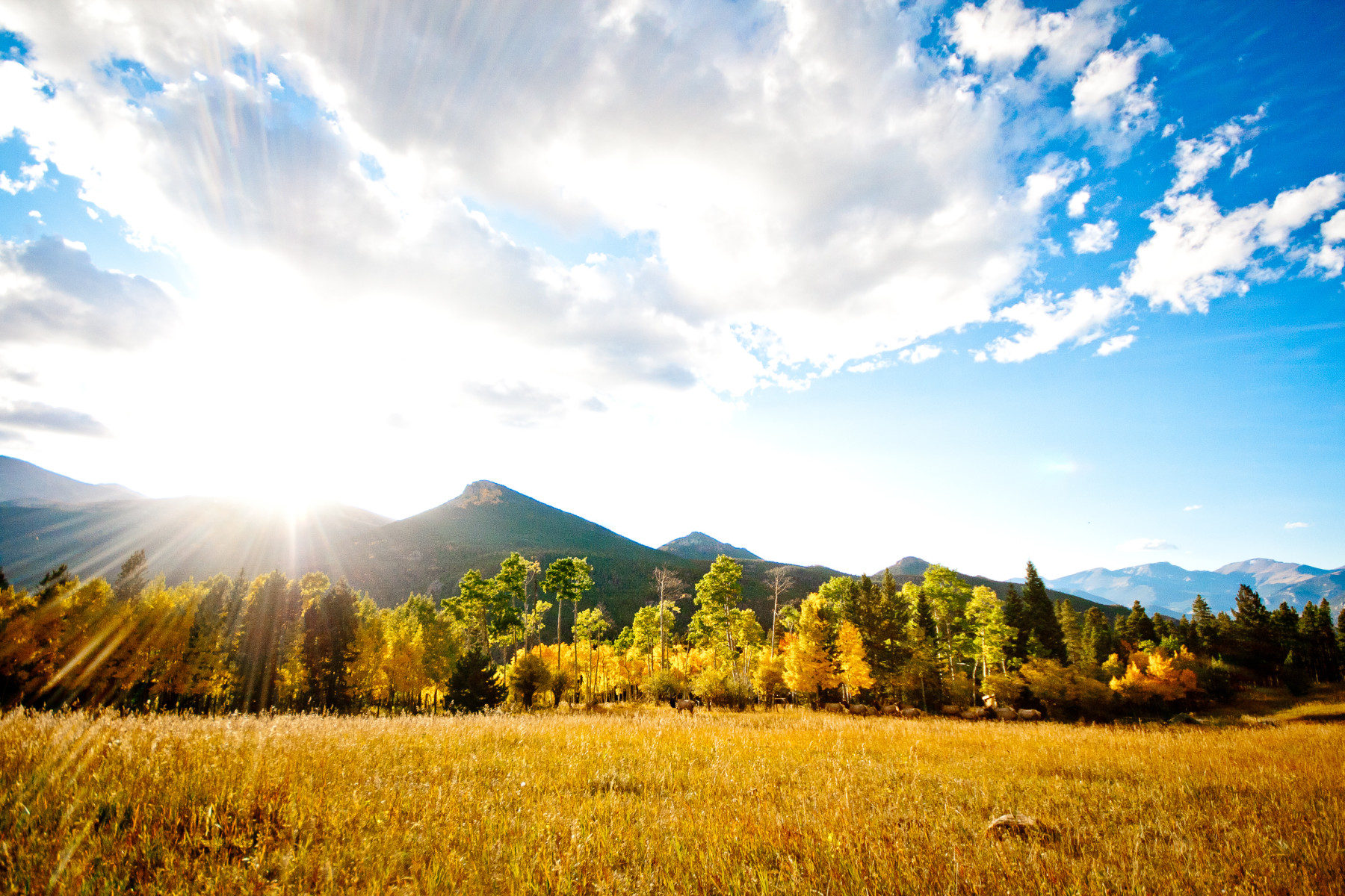 wind river ranch photo