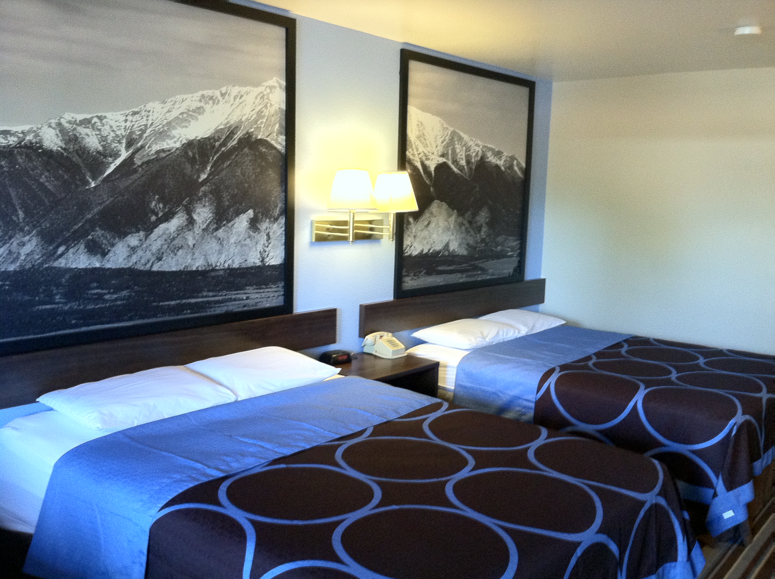 newly renovated guest rooms photo