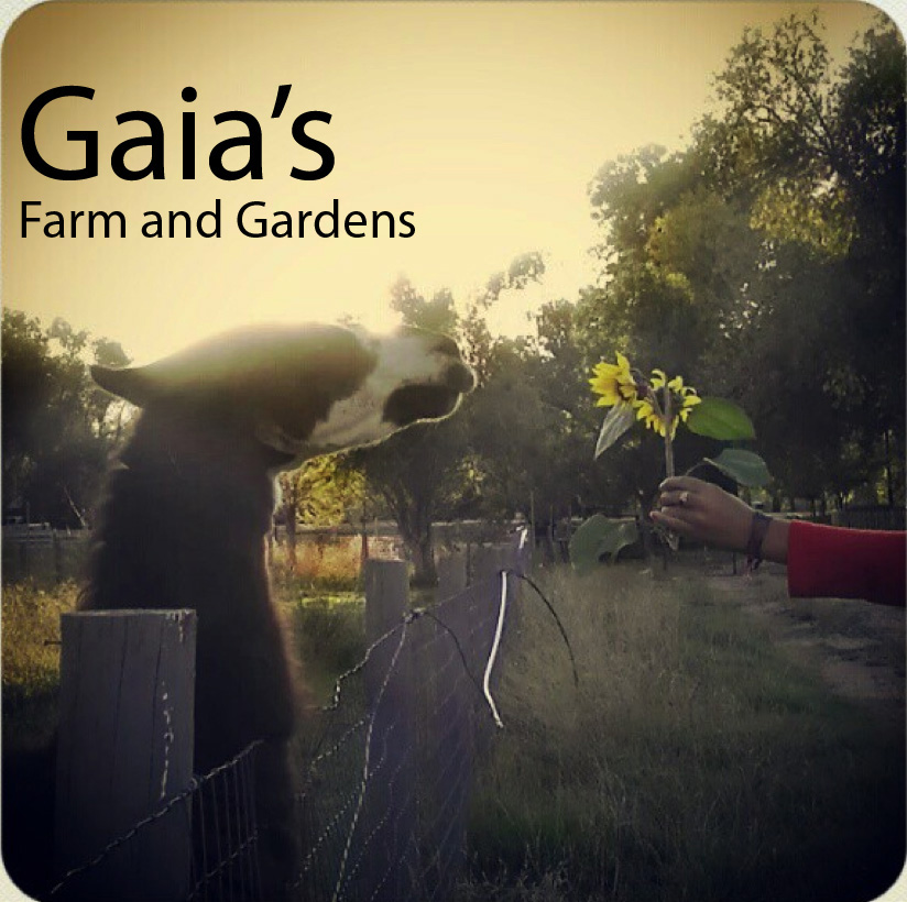 gaia's farm and gardens photo