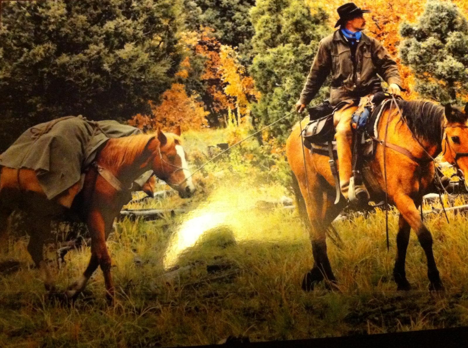 owner dean mize on the trail with his mustang deezy photo