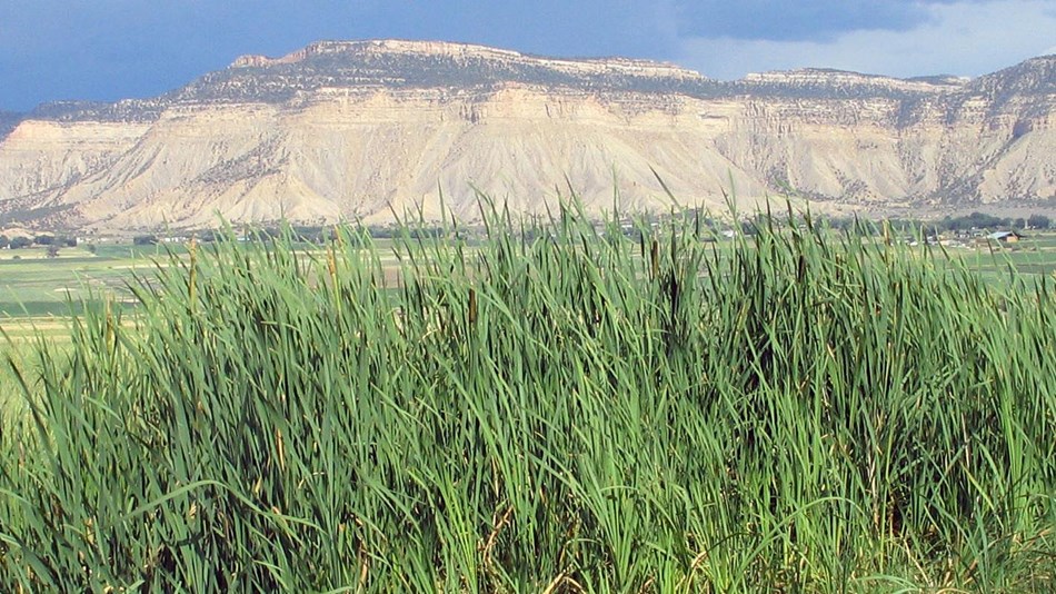 yucca house national monument photo