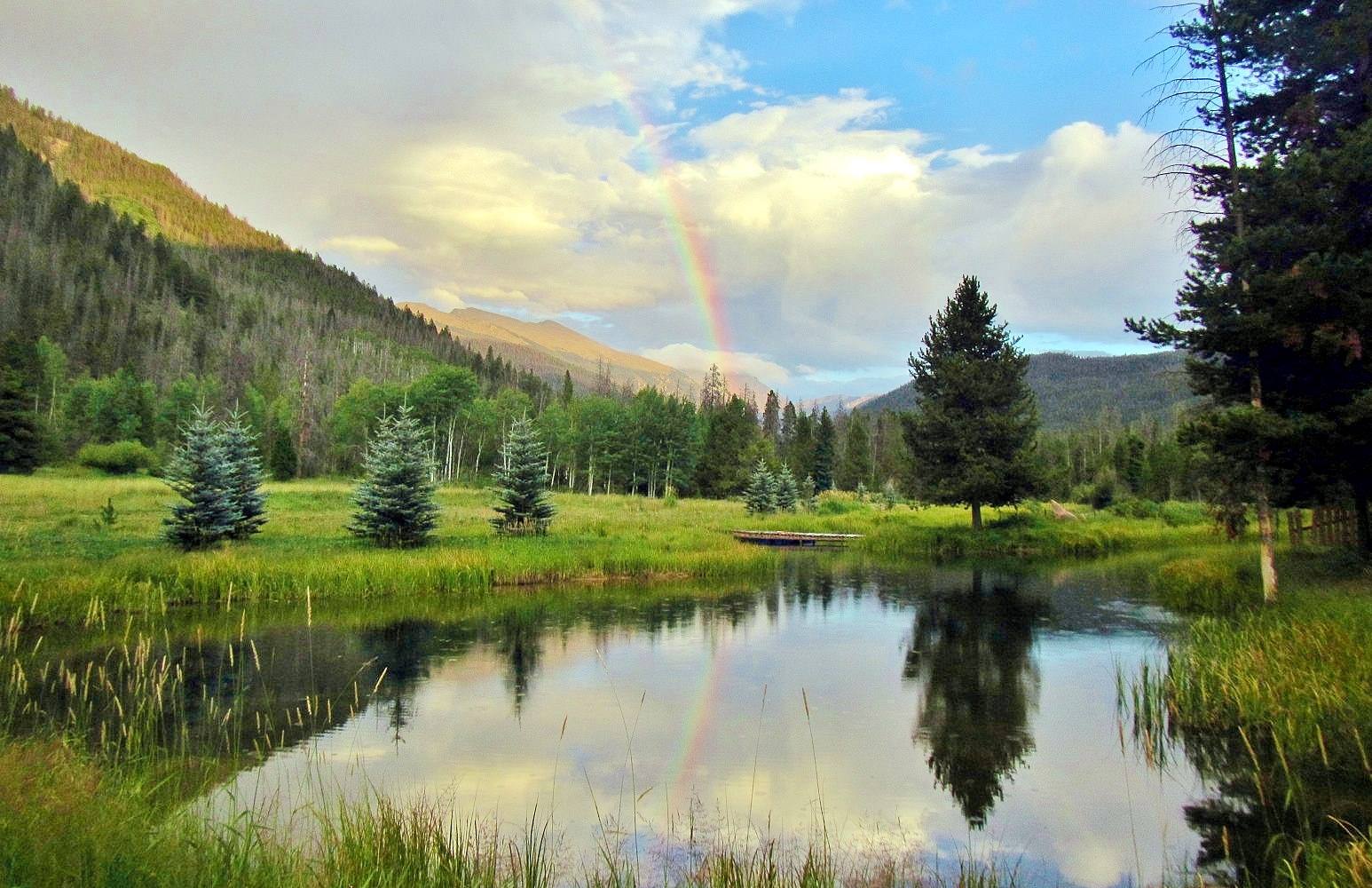 our private fishing pond where you're guaranteed to catch a fish! photo