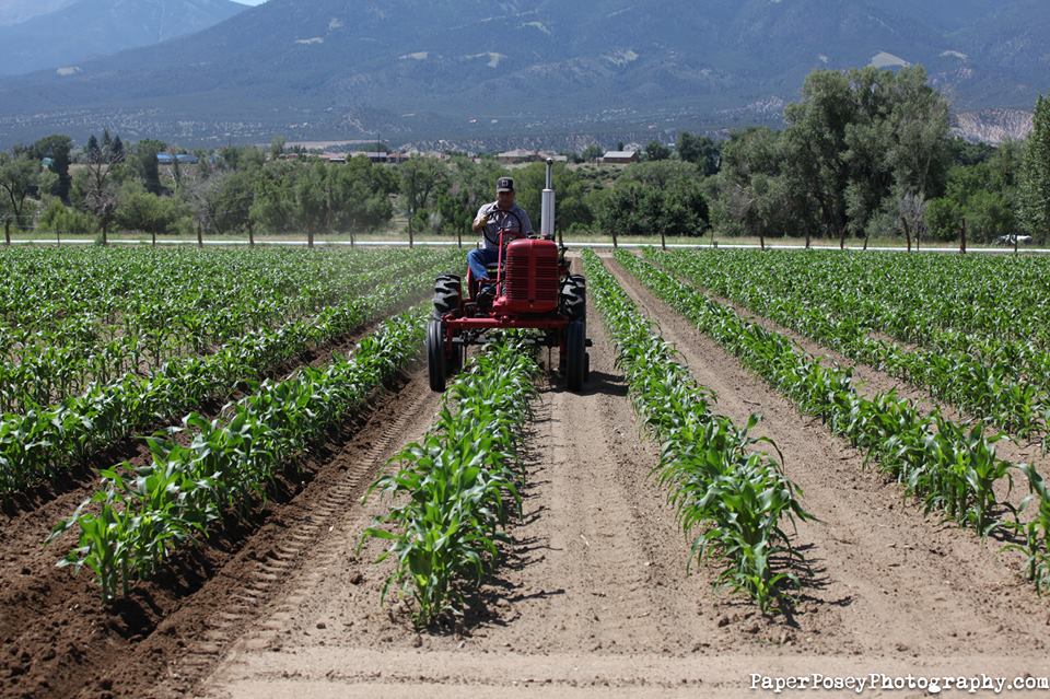 colorado farm-to-table photo