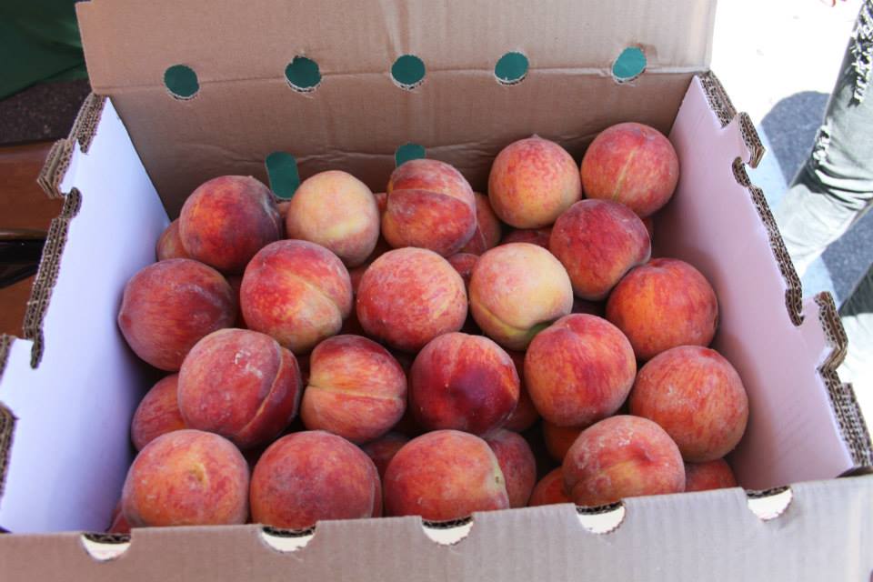 doherty high school farmers' market photo