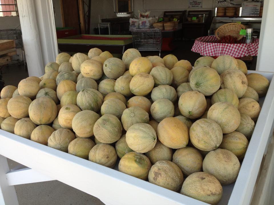 lusk farms farmers market photo