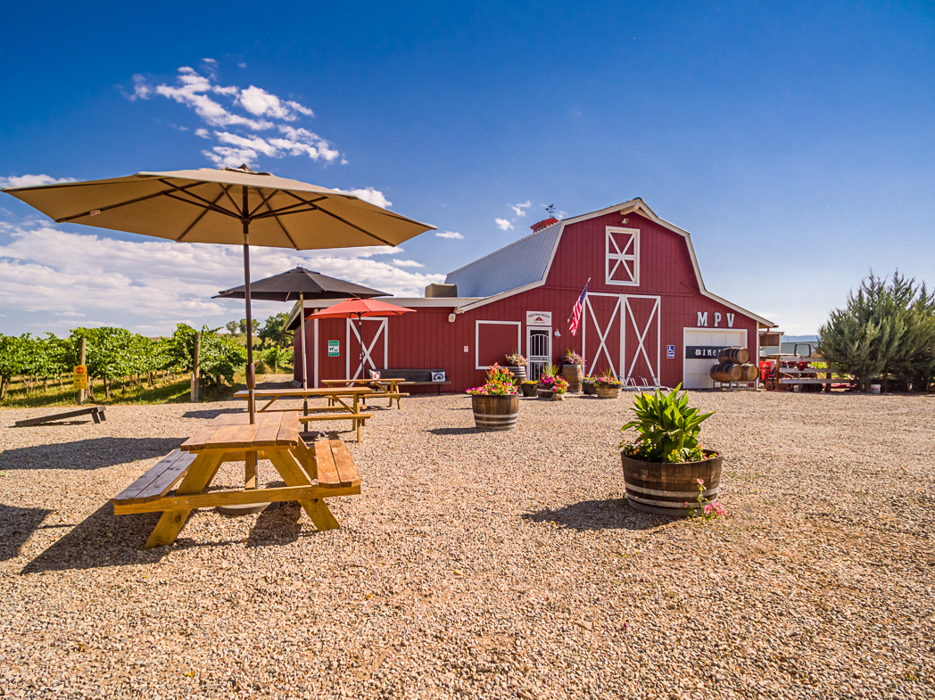 tasting room and patio photo
