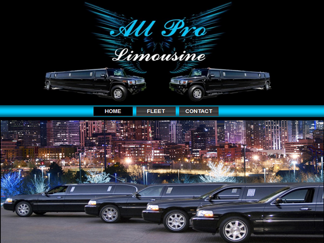 all pro limousine for every event. photo