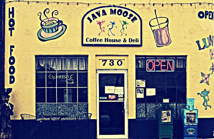 java moose in fairplay photo