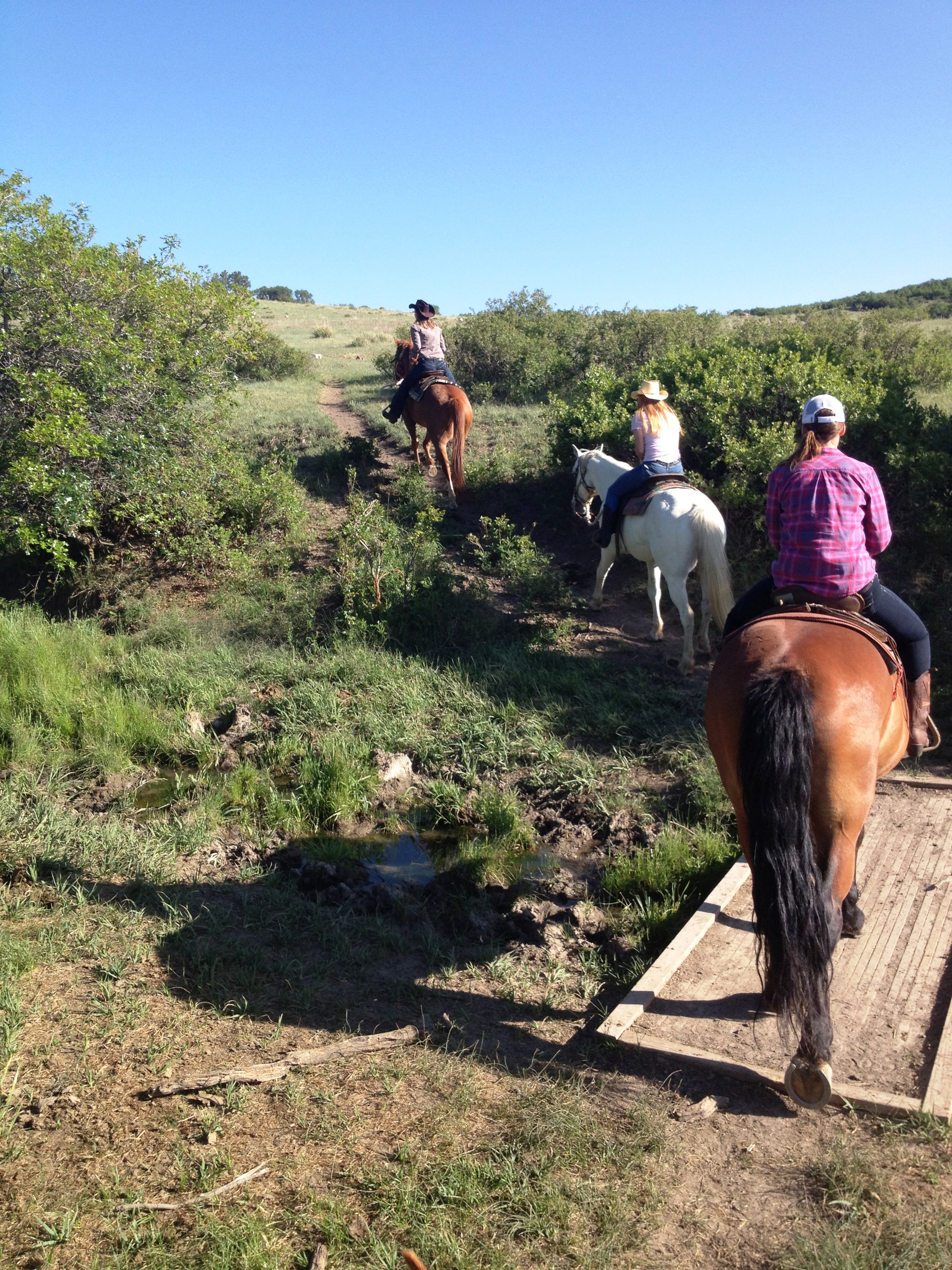 beautiful trail rides photo