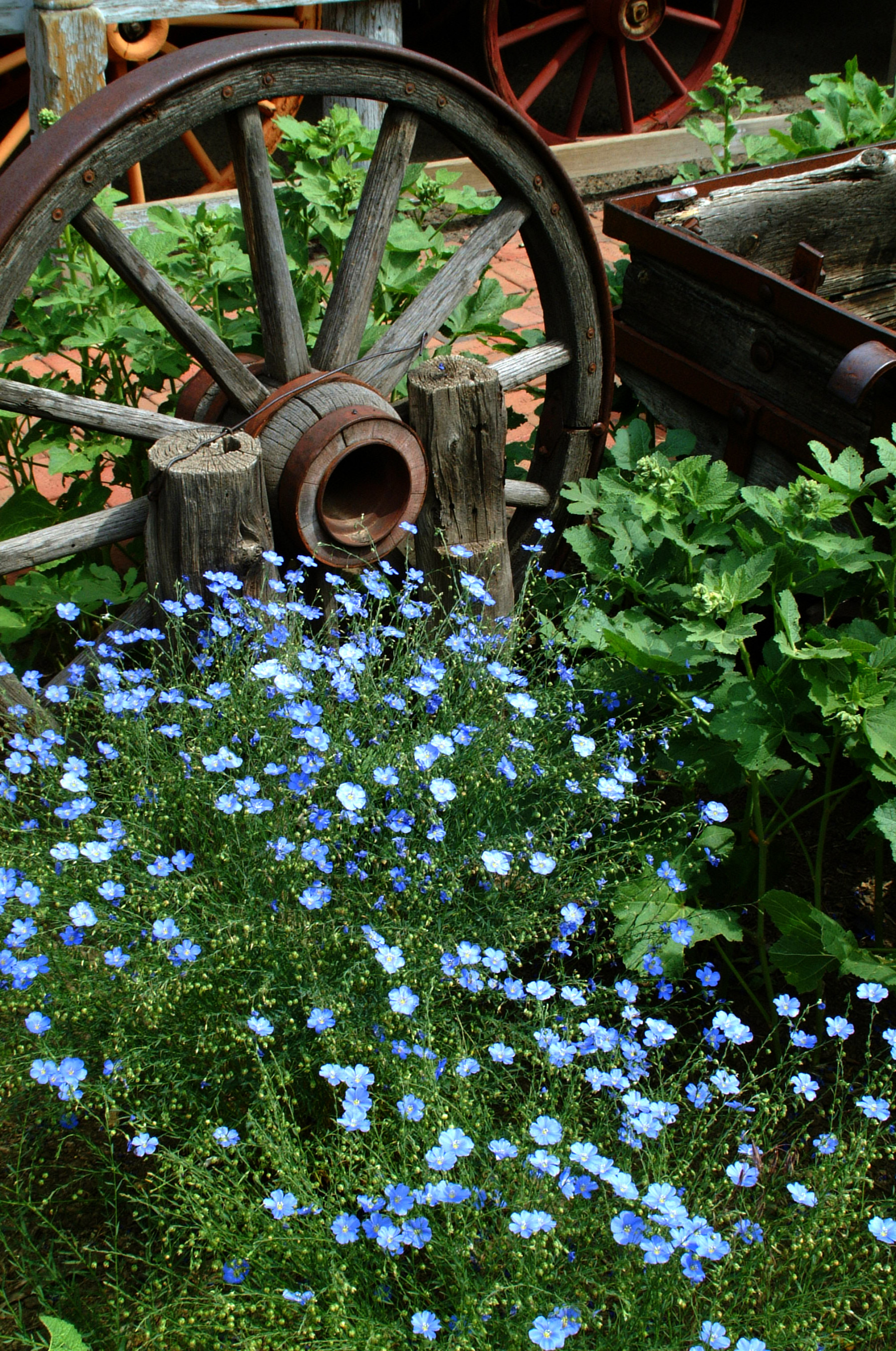 trinidad history museum photo 3