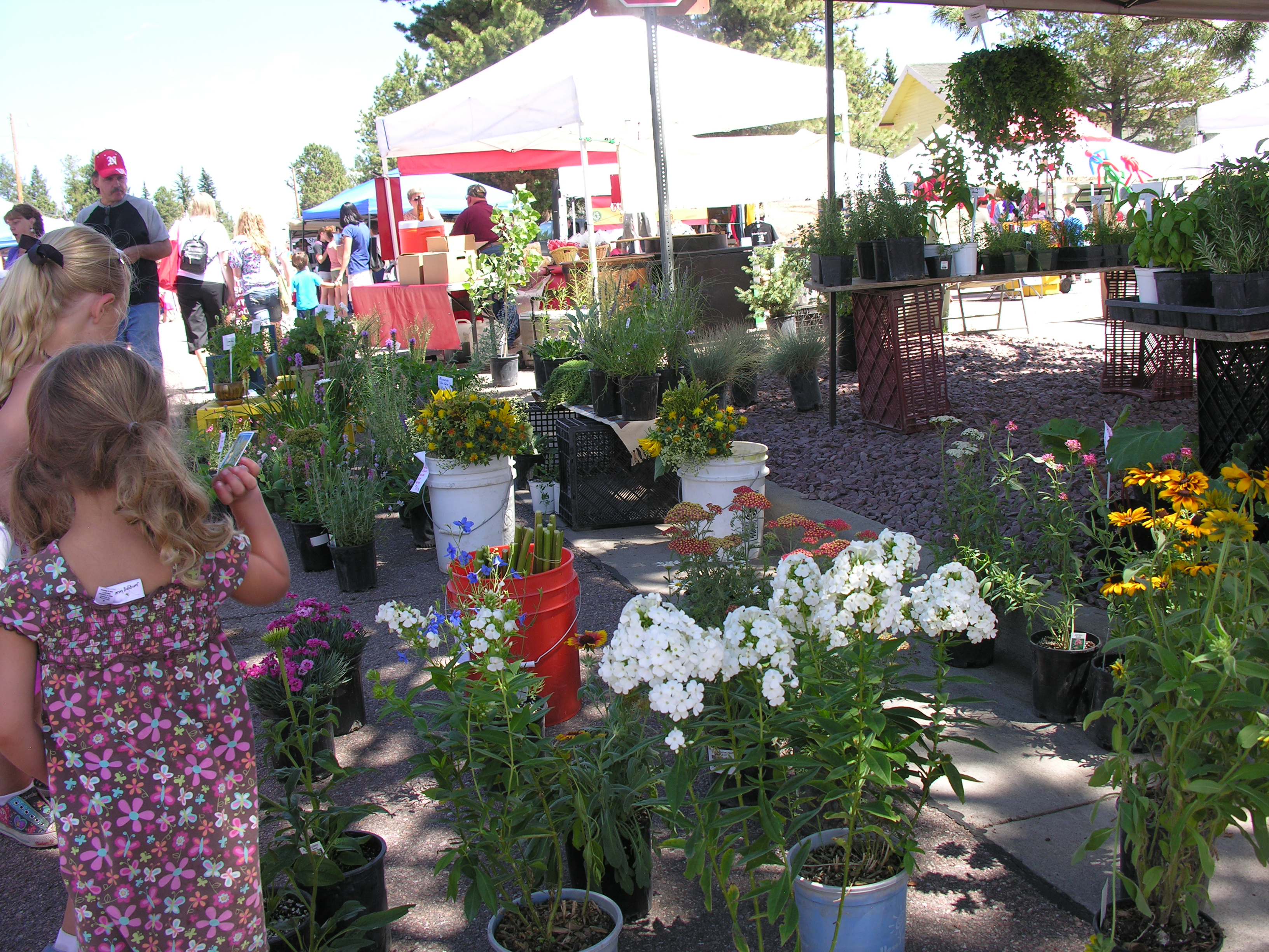 flowers 'n stuff at wp summer market photo