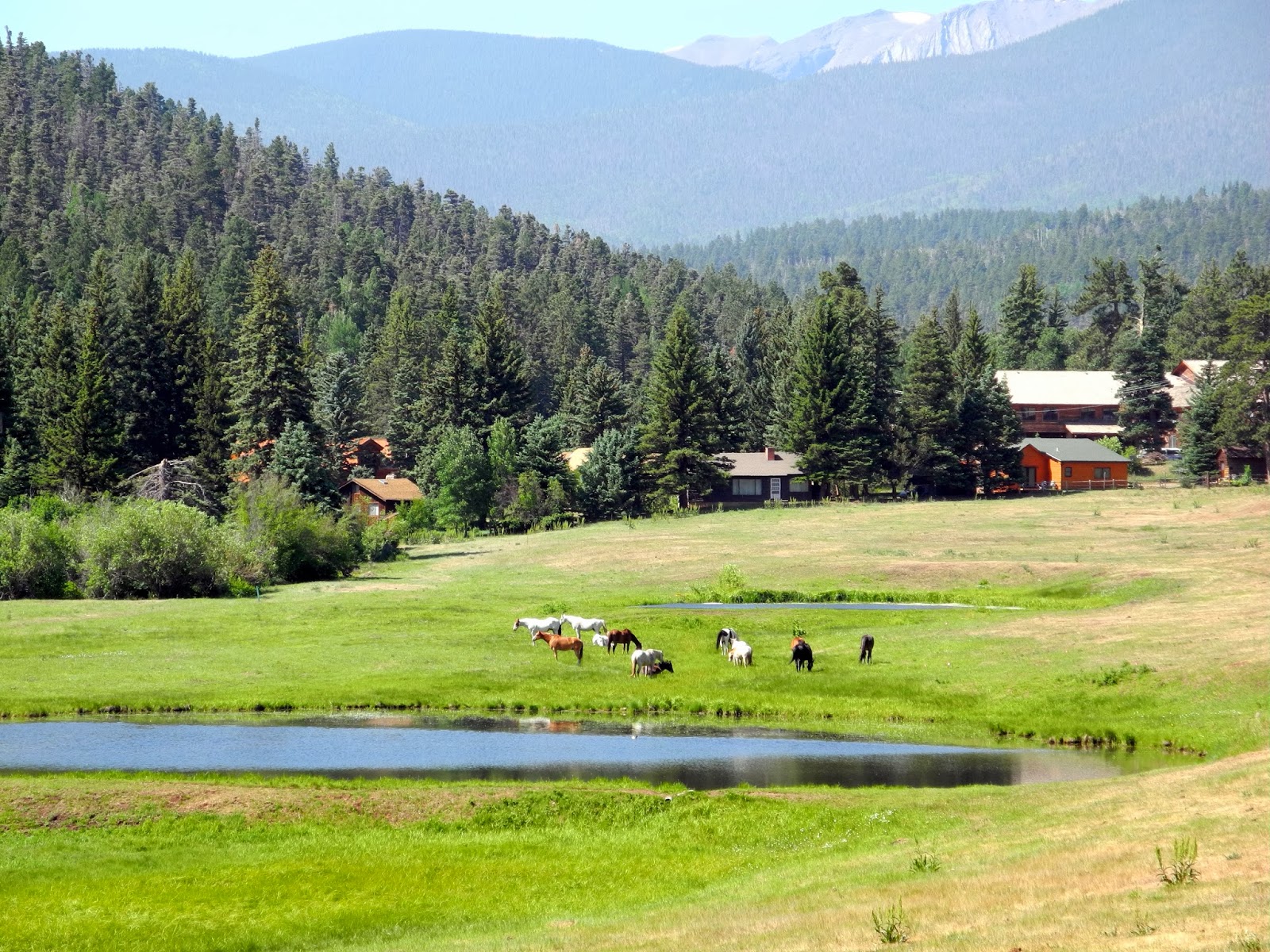 yellow pines dude ranch photo