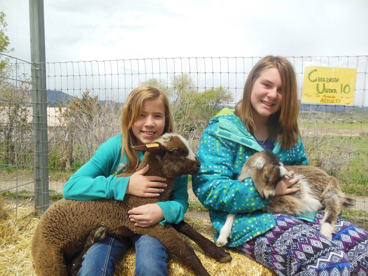 the living farm in paonia photo