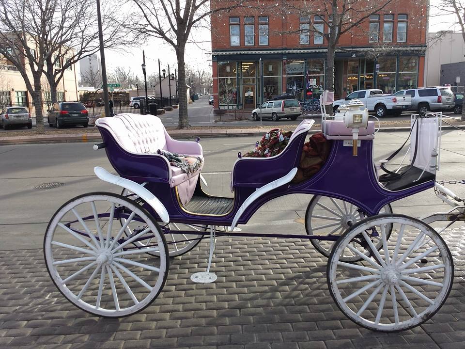 colorado carriage photo