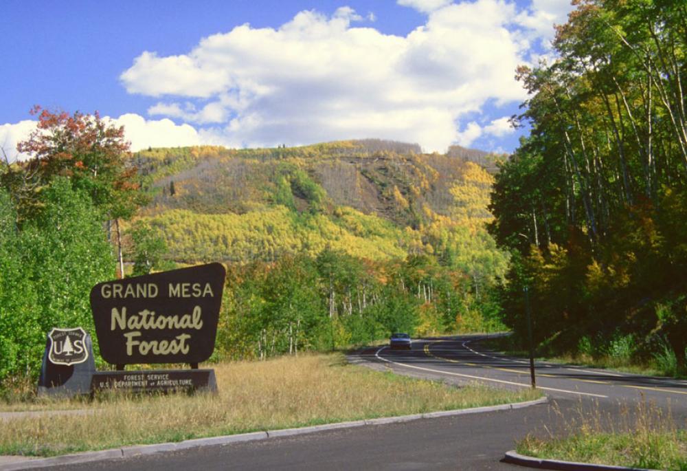 grand mesa scenic byway photo