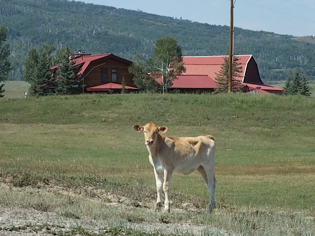 moon hill dairy photo