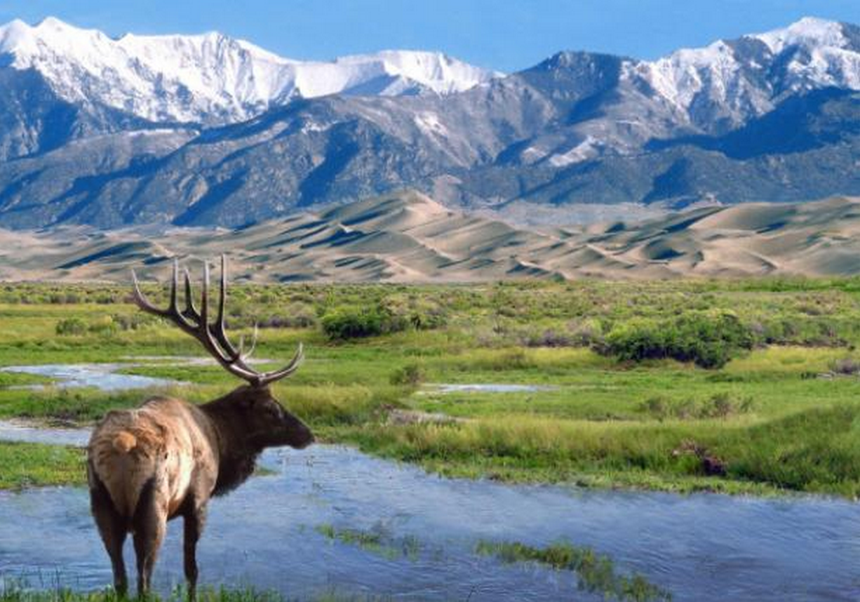 great sand dunes national park and preserve photo