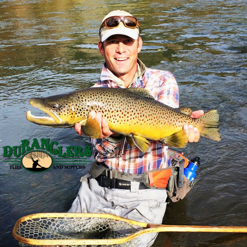 spencer with an animas river brown trout. photo