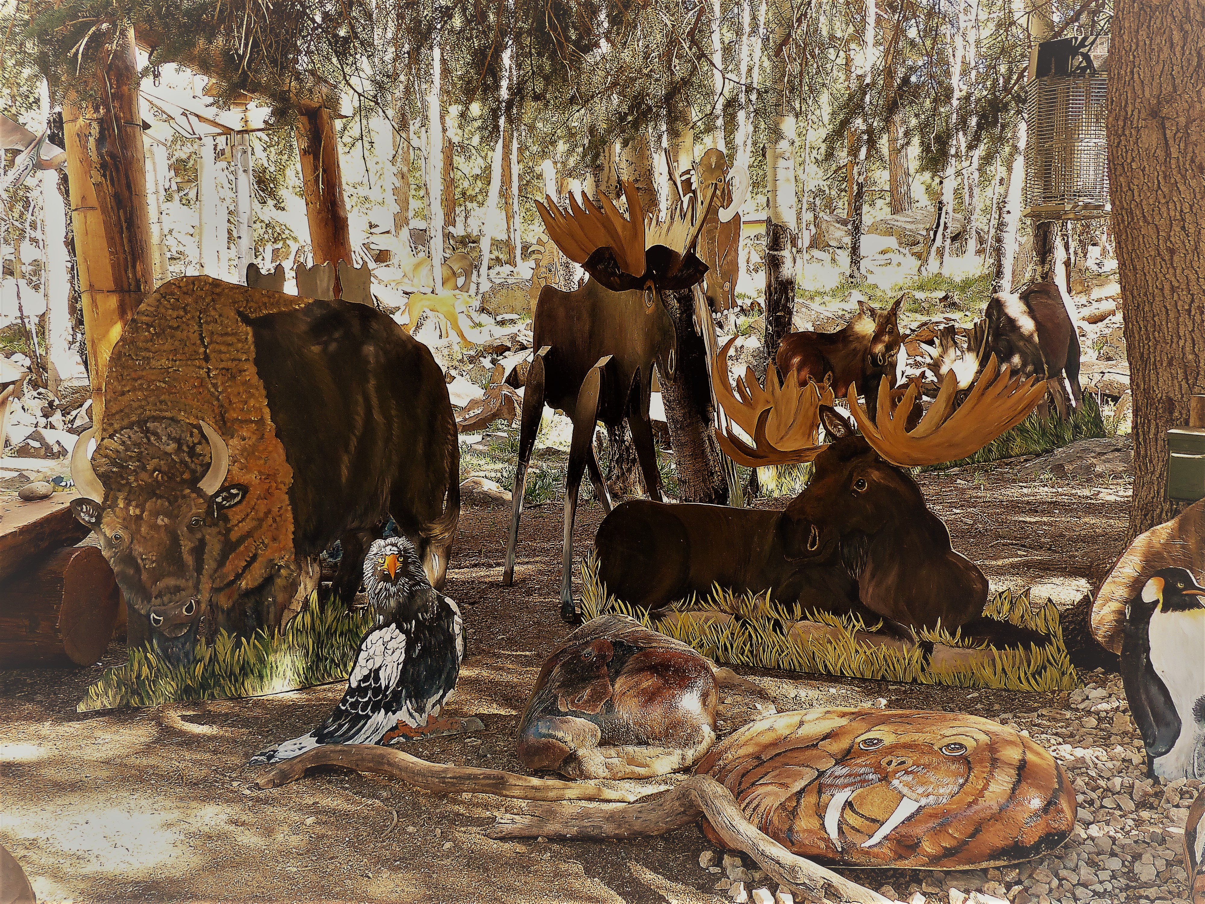 some of the animals to be seen with many more to view on the tour. photo