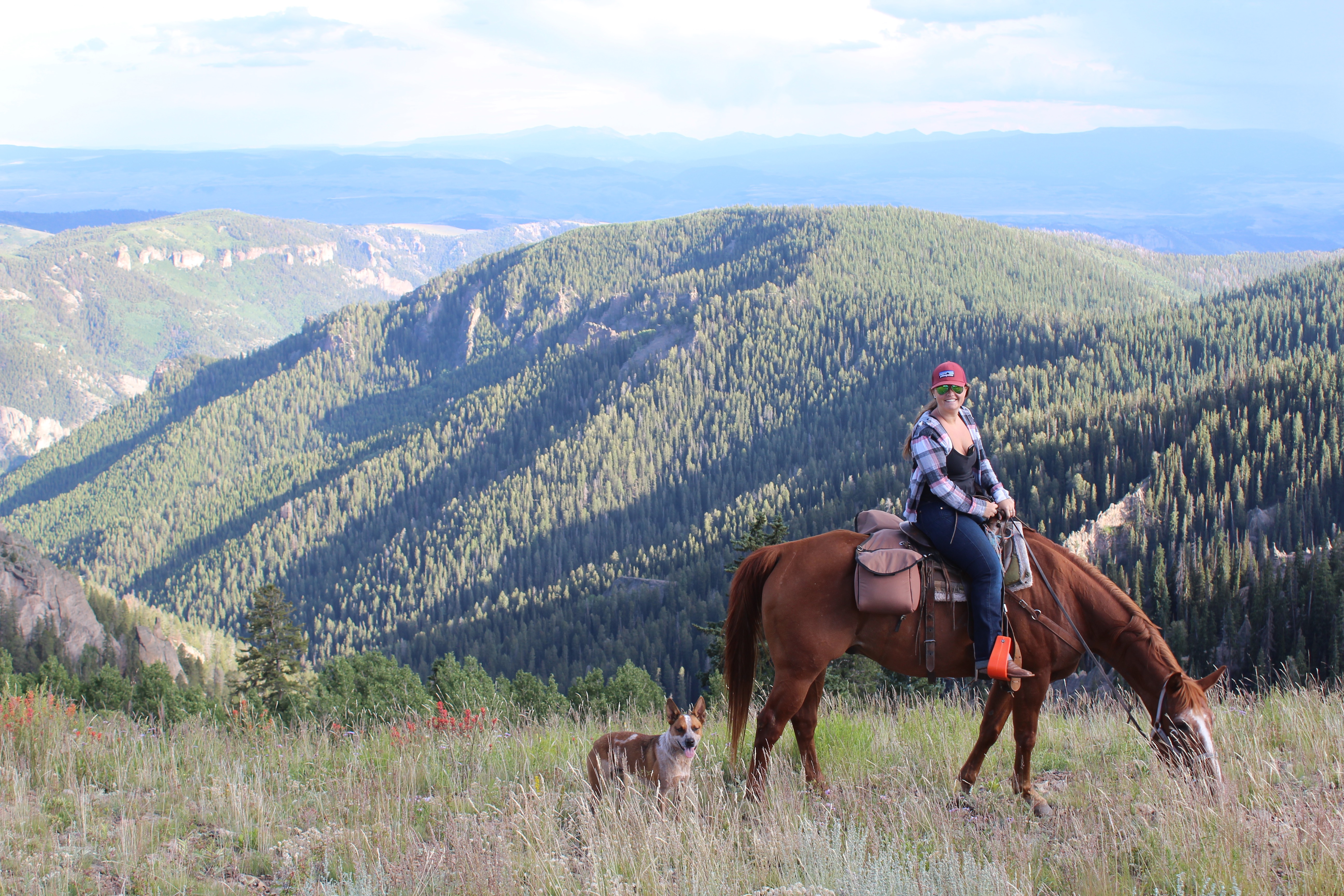 summer trips and fall hunting available! photo