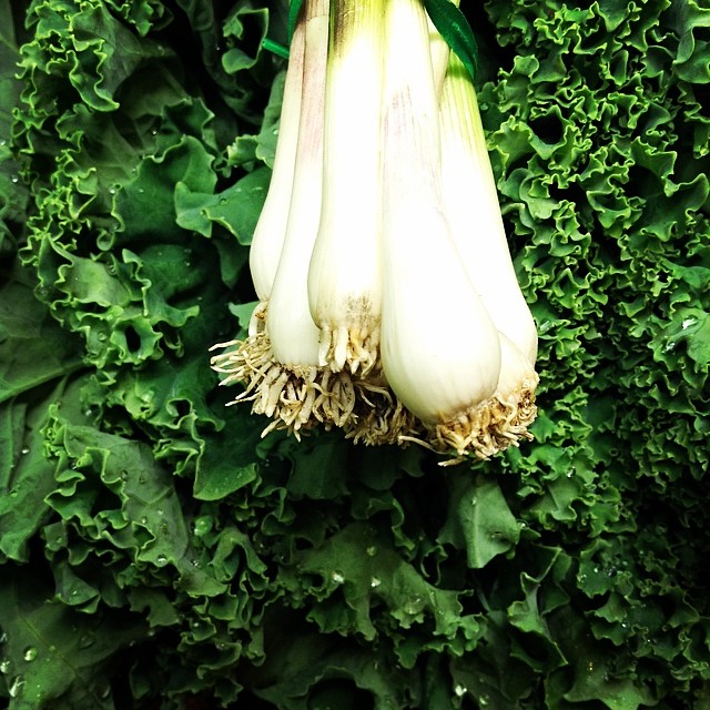 durango natural foods co-op photo