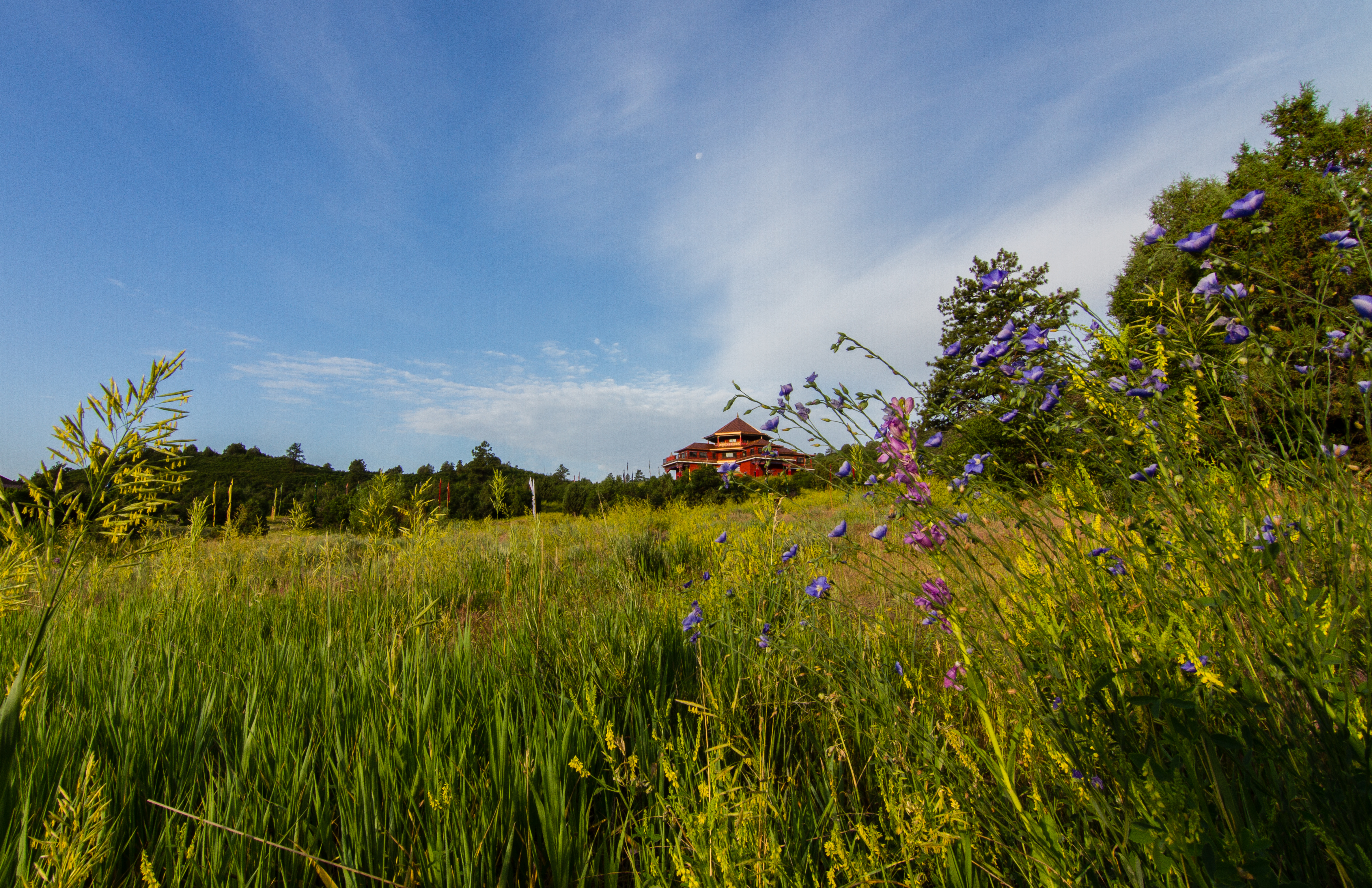 tara mandala temple and grouds photo