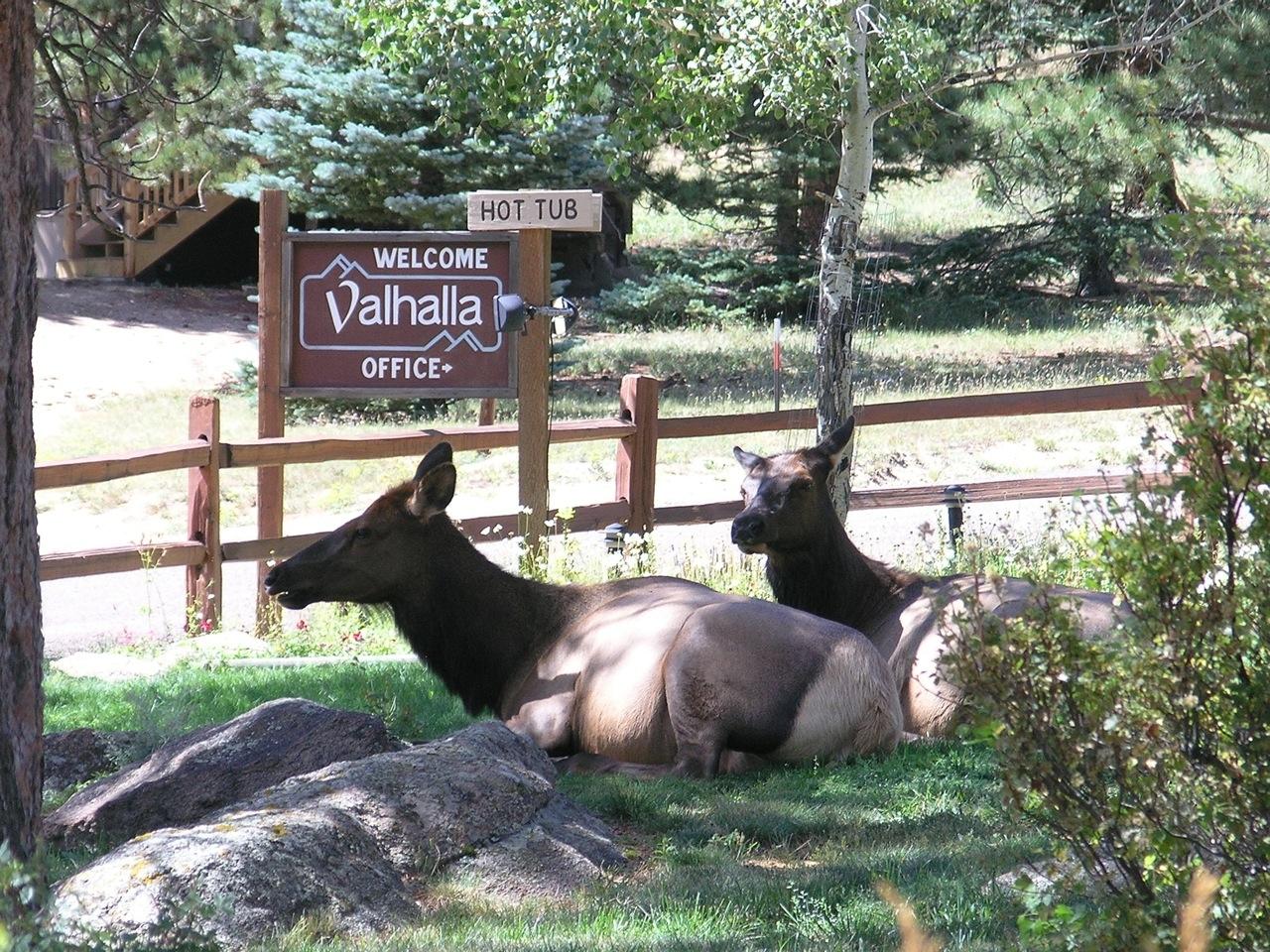valhalla resort - a great place to rest, relax and enjoy the scenery photo