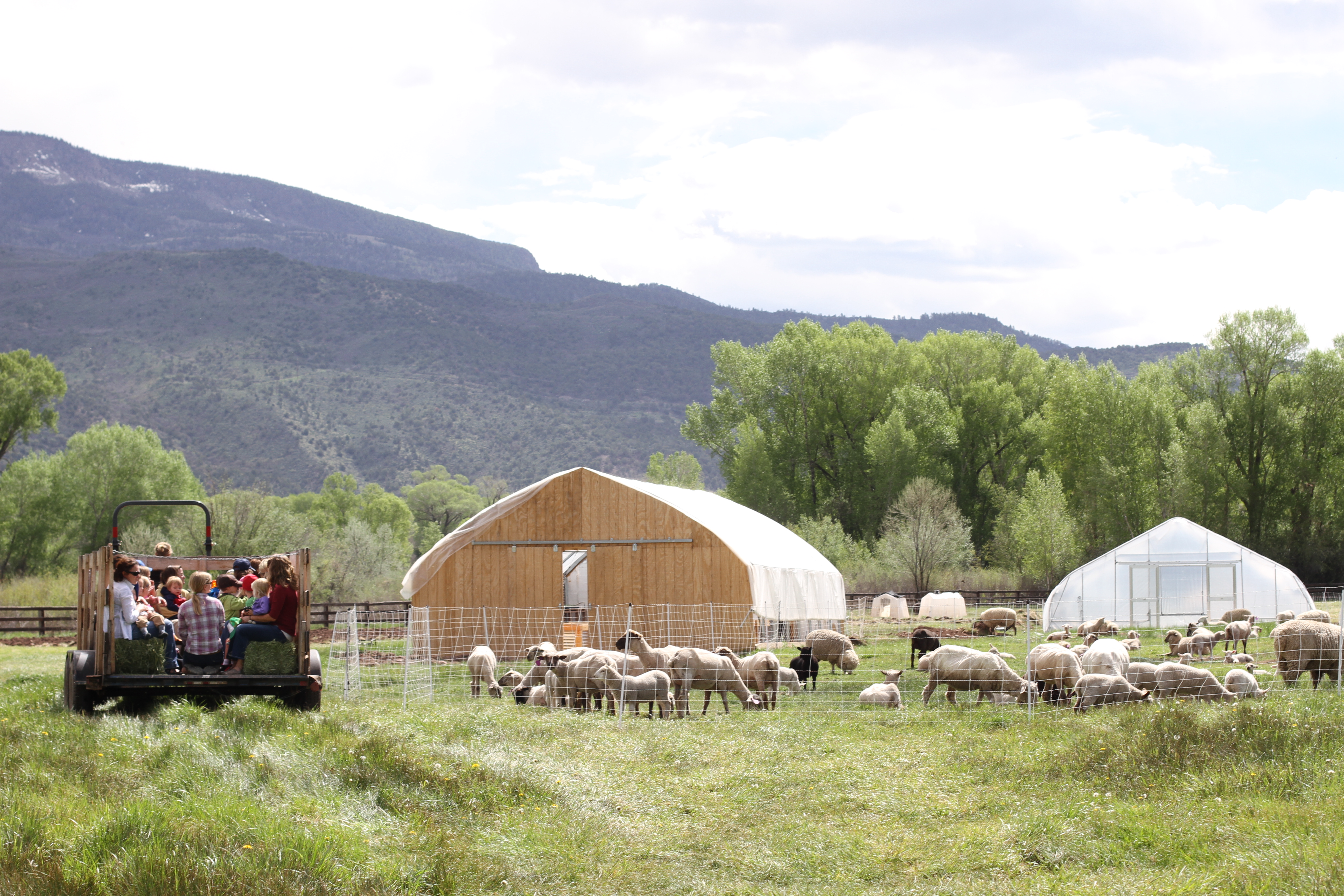 farm tour via hay ride at aces at rock bottom ranch photo