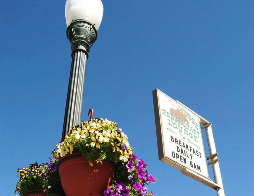 moose cafe in kremmling photo