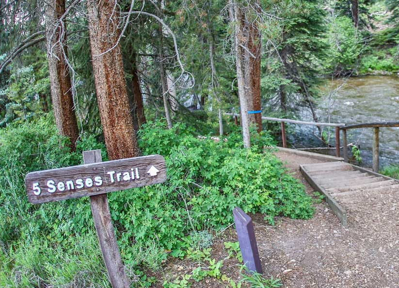 vail nature center photo