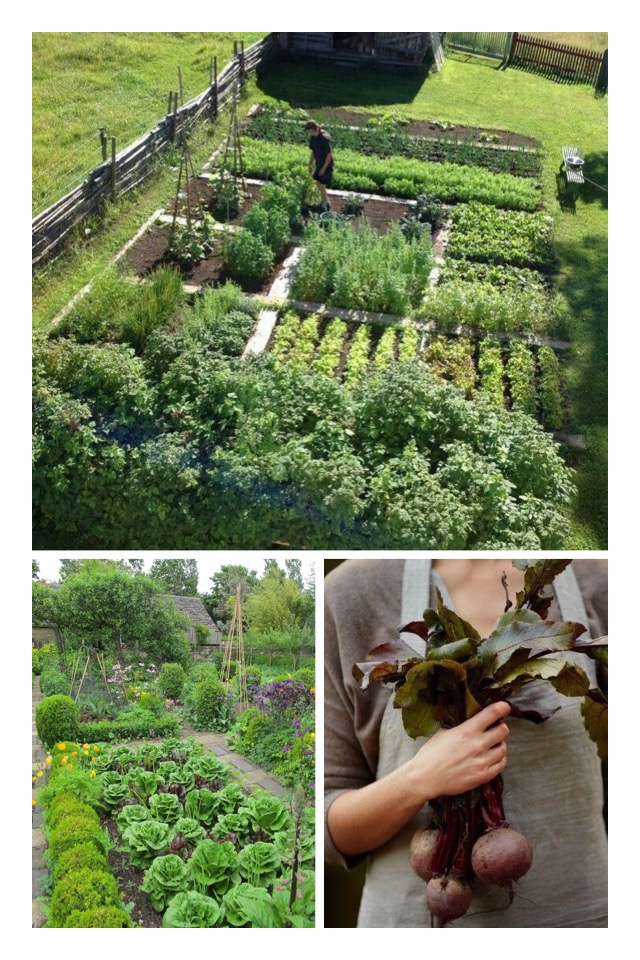 what's the best that could happen? photo