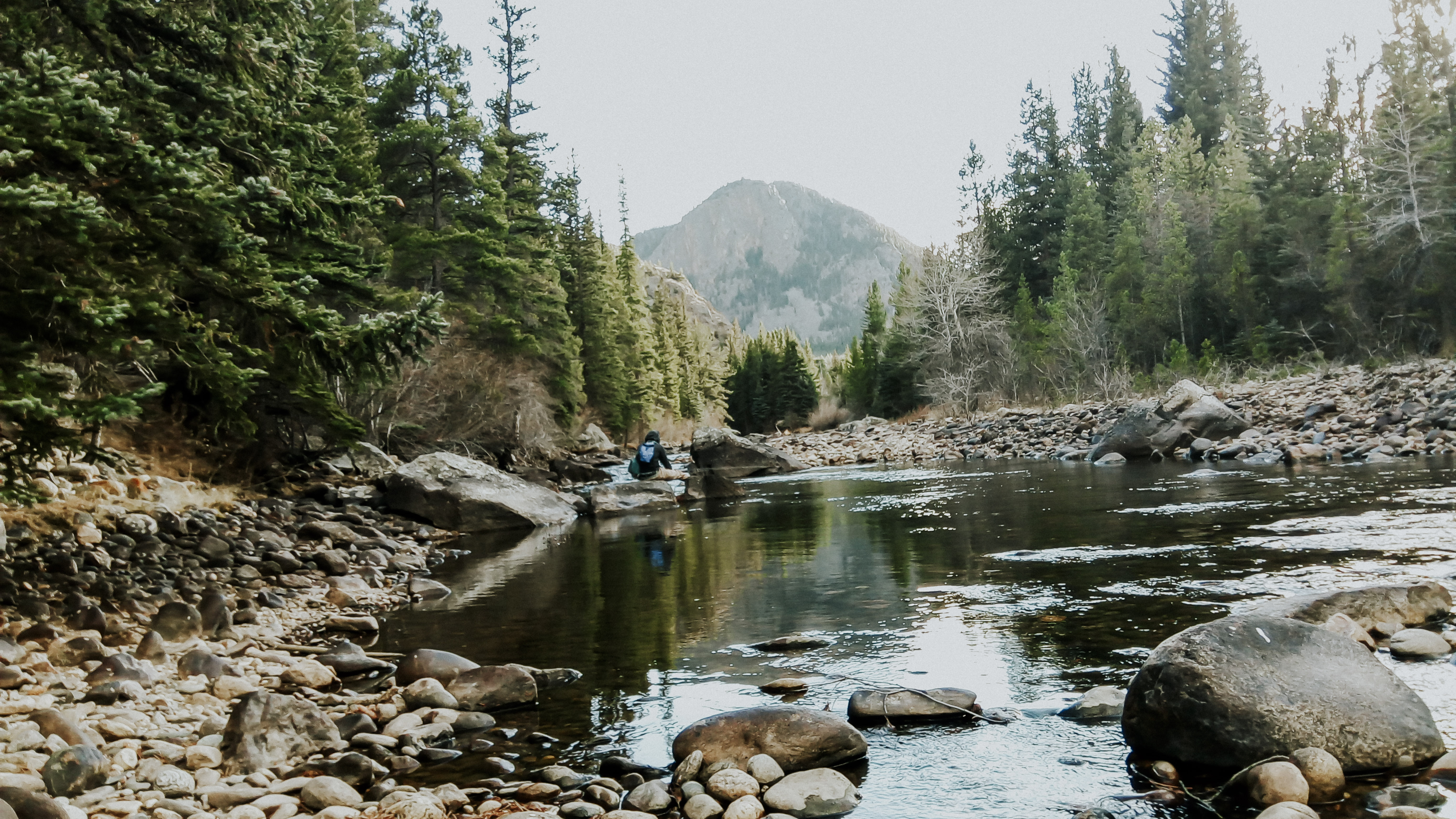fly fishing on the poudre river photo