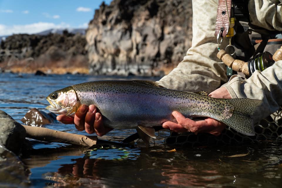 cutthroat anglers in silverthorne photo