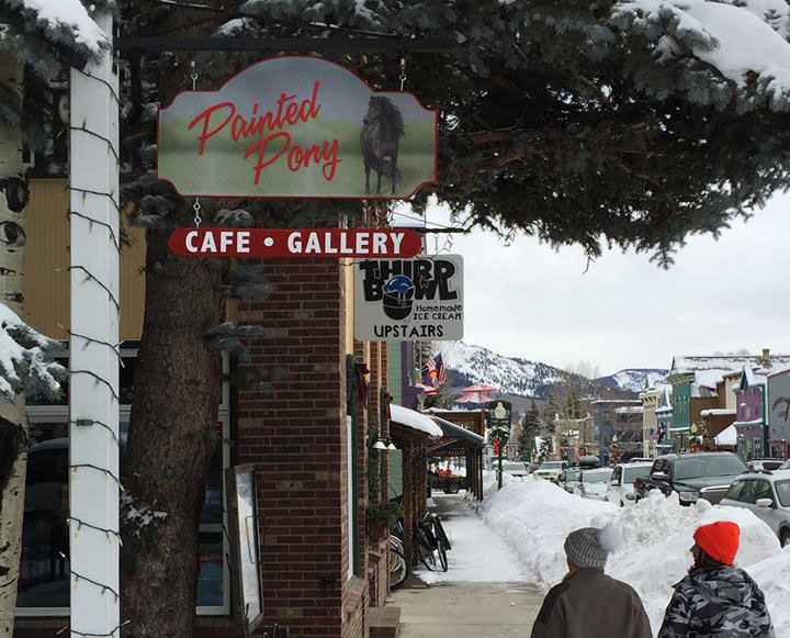painted pony in crested butte photo