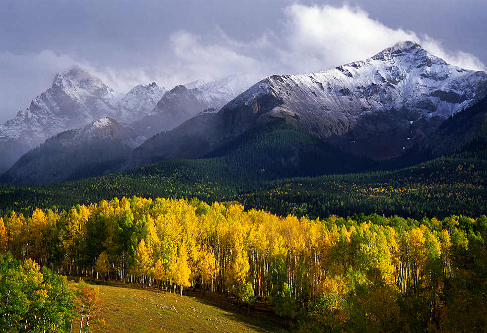 autumn in the san juan mountains photo