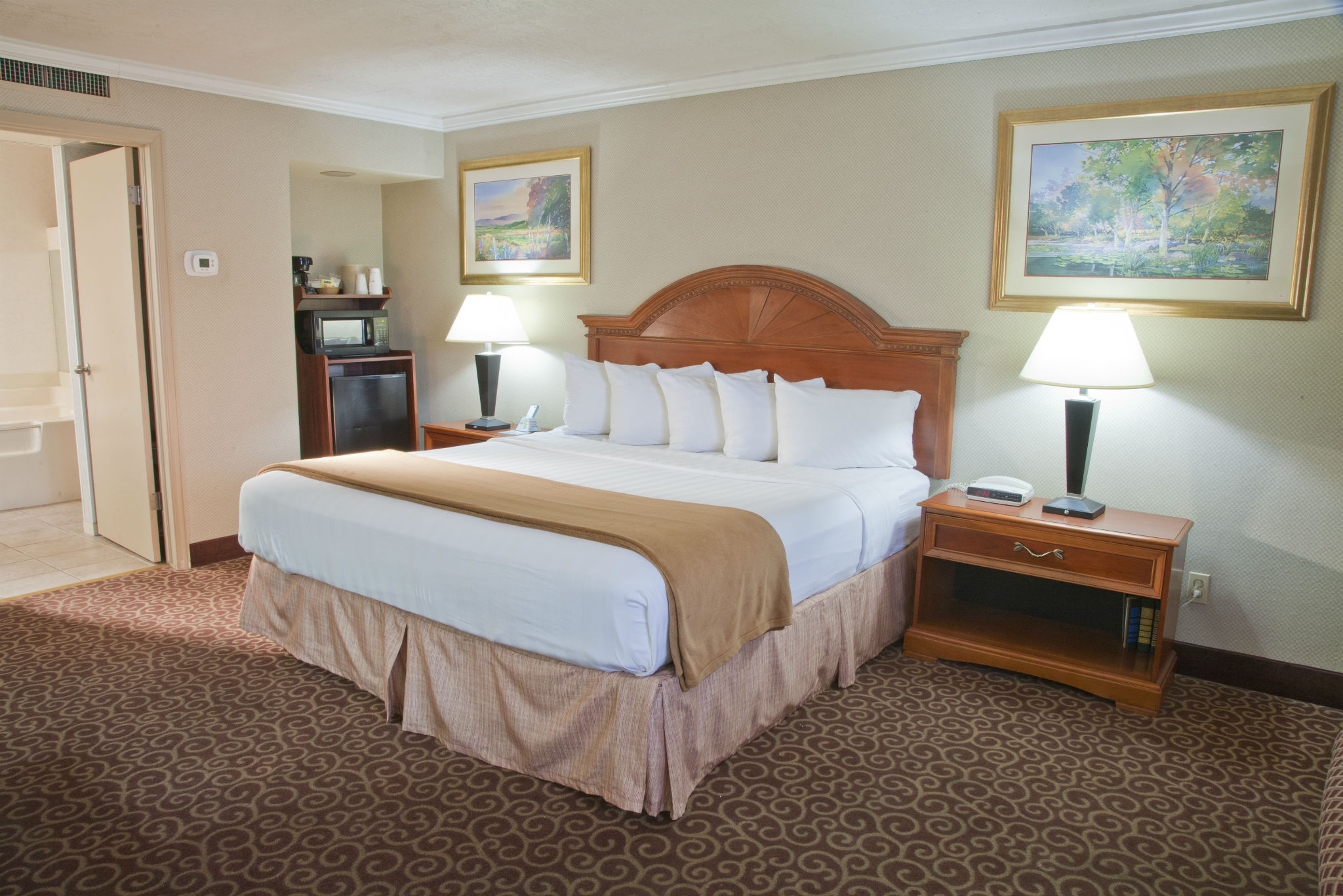 king mini suite photo