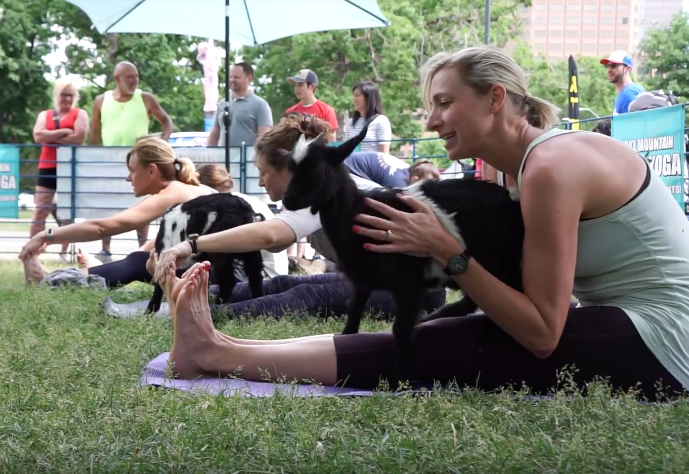 rocky mountain goat yoga photo