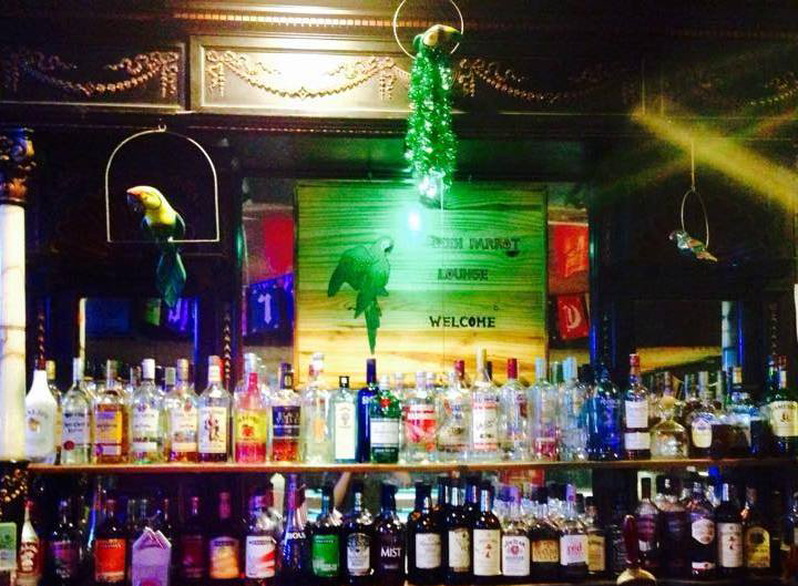 green parrot lounge in florence photo