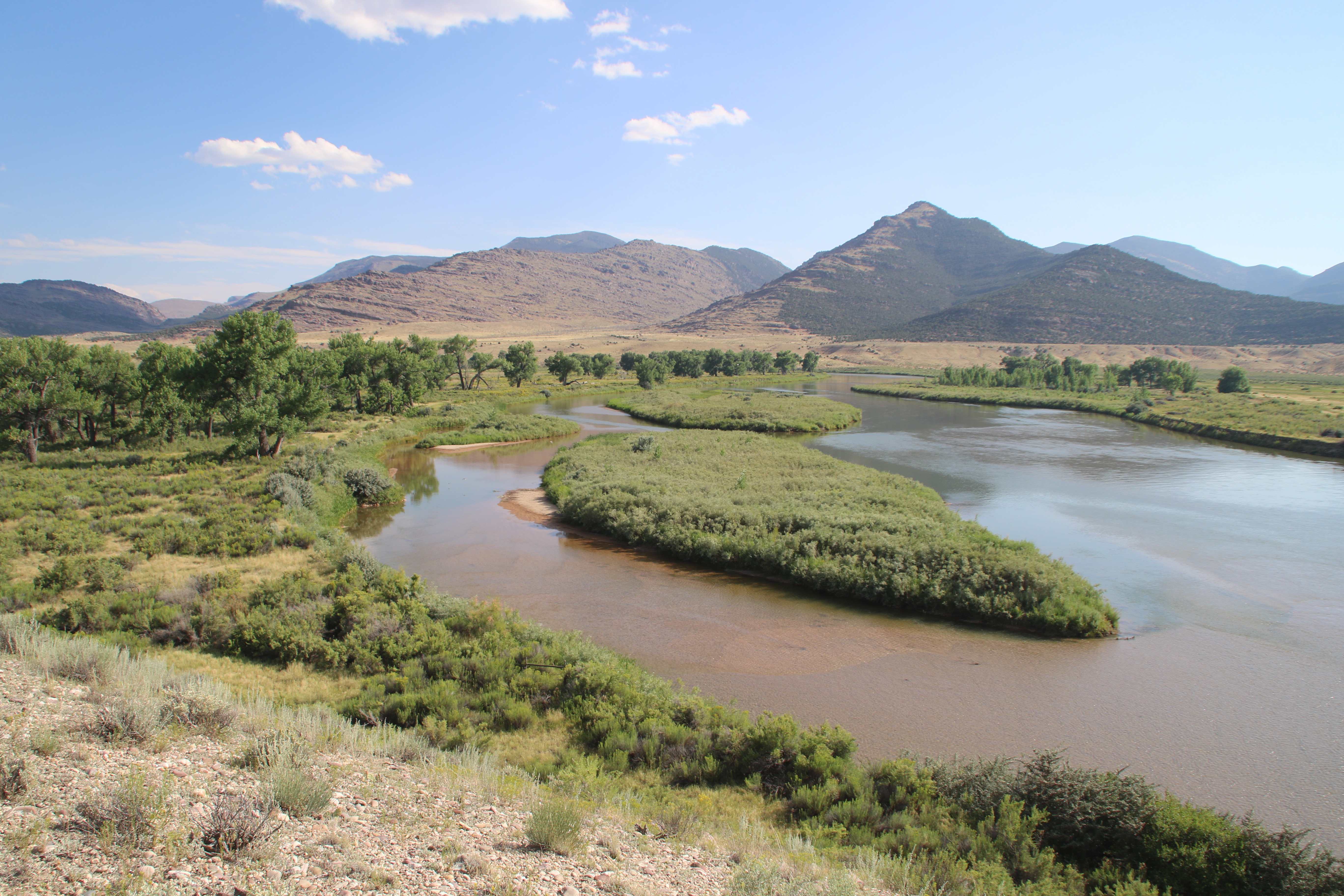 browns park nwr photo